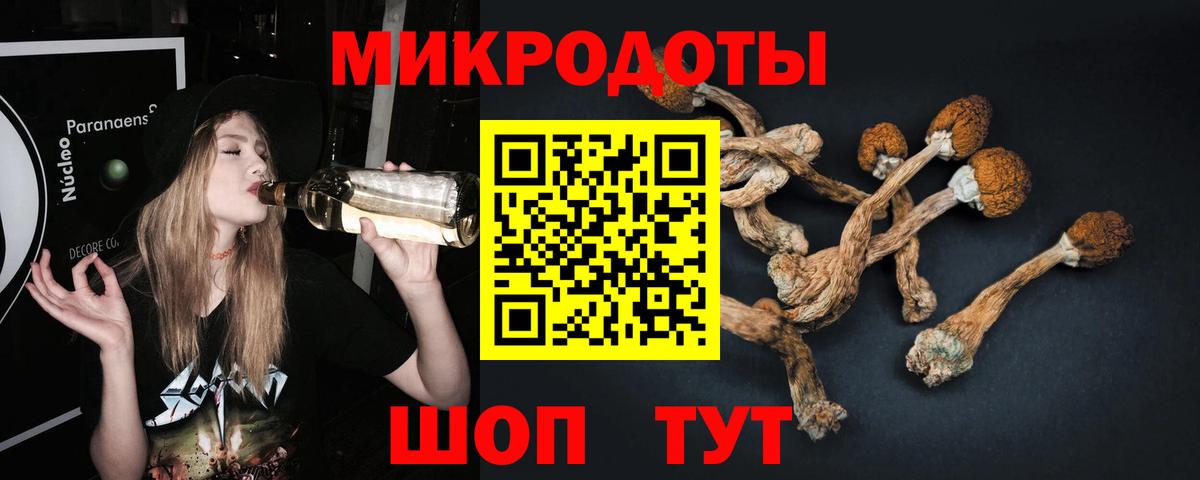 Псилоцибиновые грибы Cubensis Янаул
